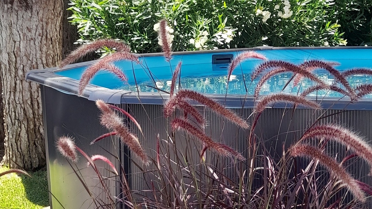 Photo of Outdoor in Conil de la Frontera