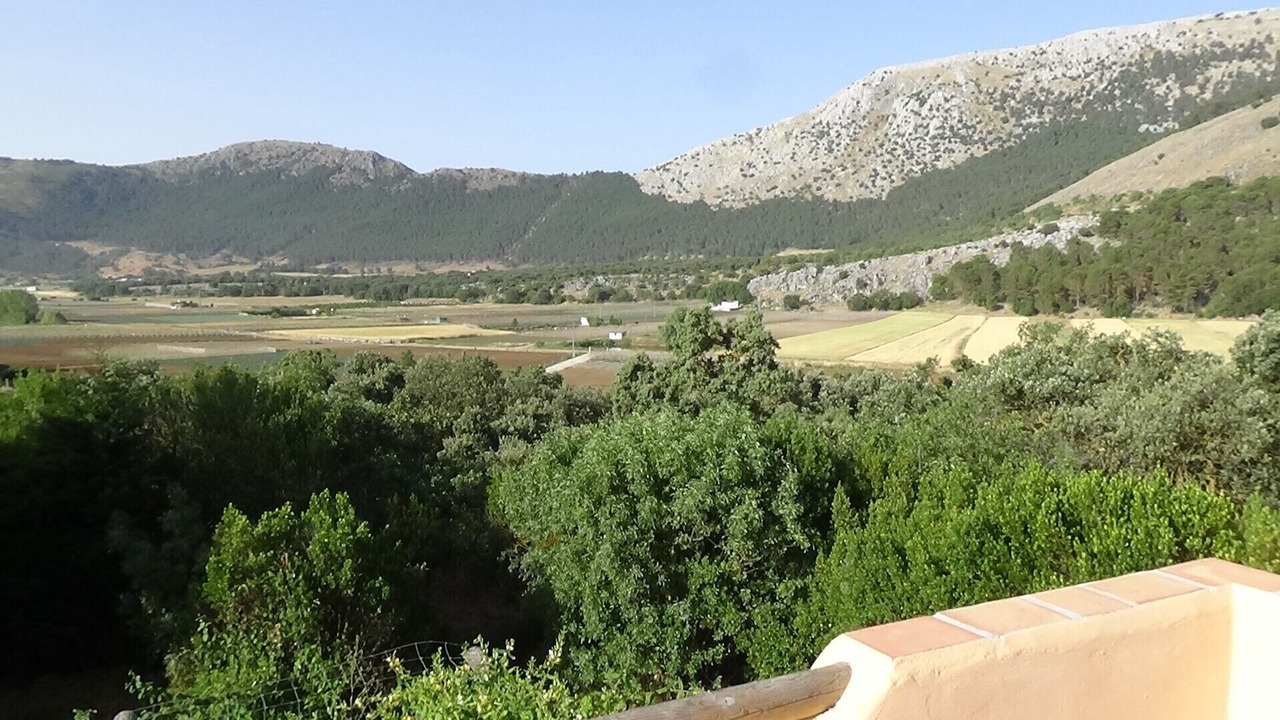 Photo of Others in Zafarraya