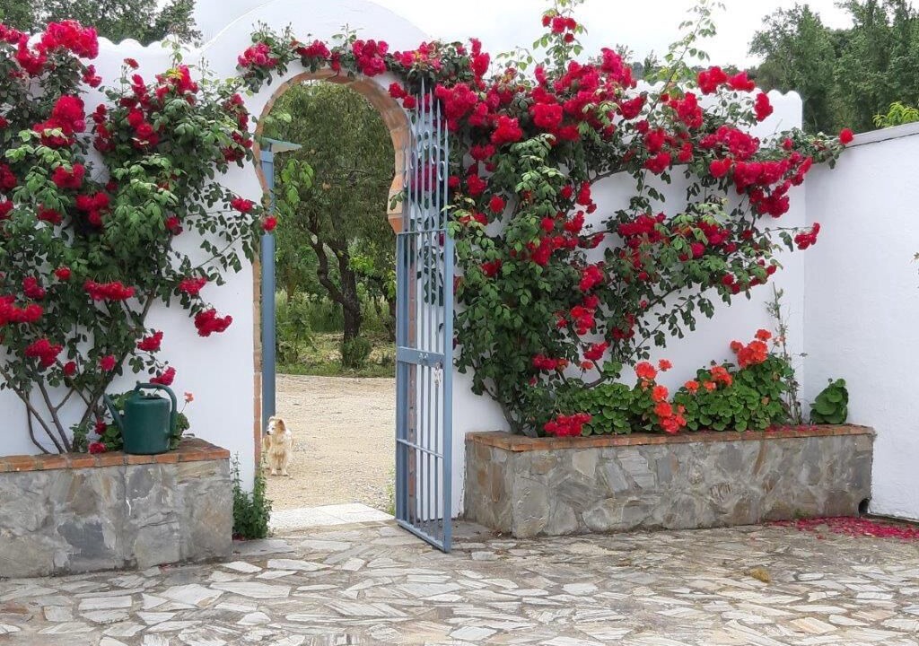 Photo of Outdoor in Olvera