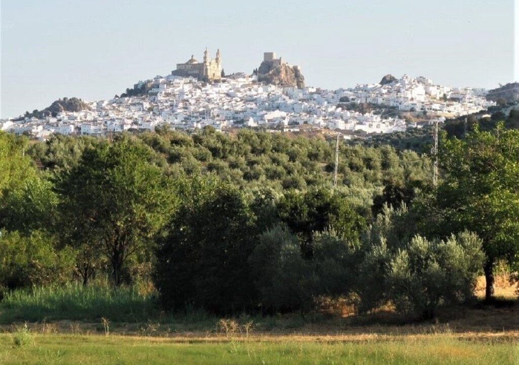 Photo of Outdoor in Olvera