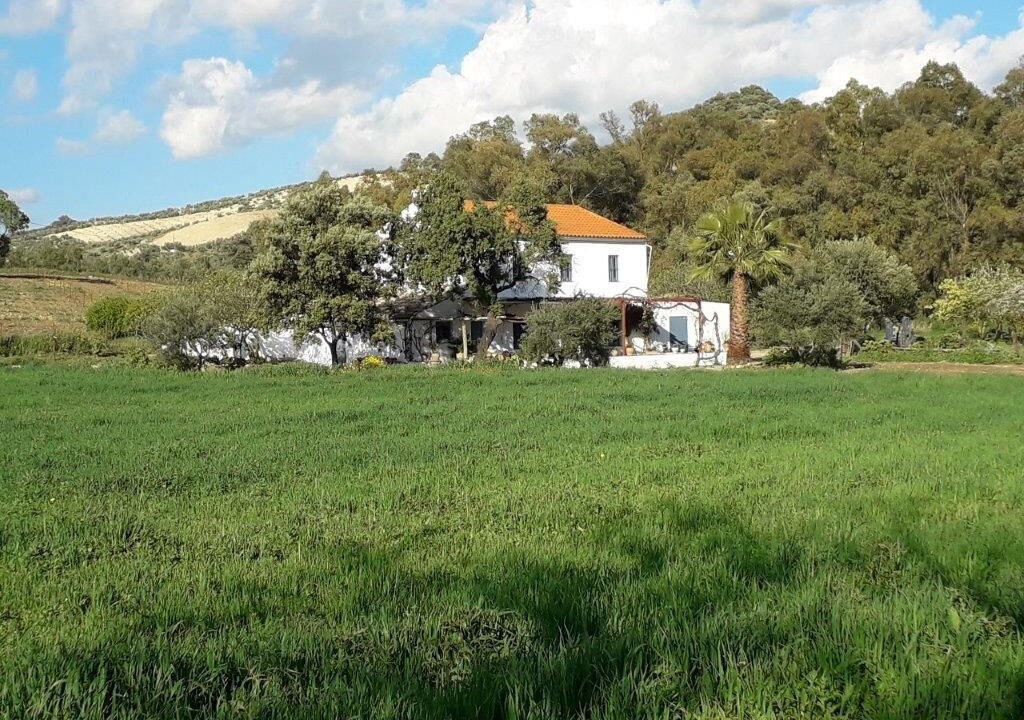 Photo of Outdoor in Olvera