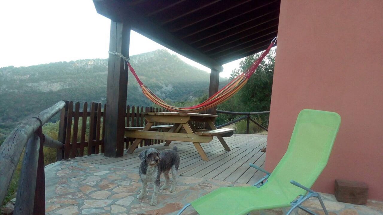 Photo of Outdoor in Coripe