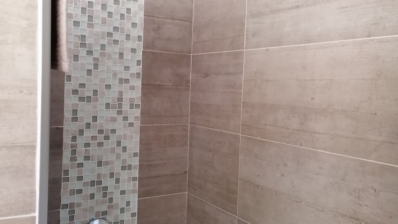 Photo of Bathroom in Arenas