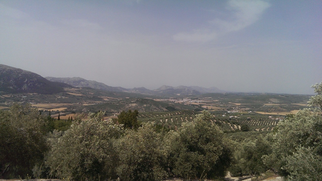 Photo of Others in Villanueva del Trabuco