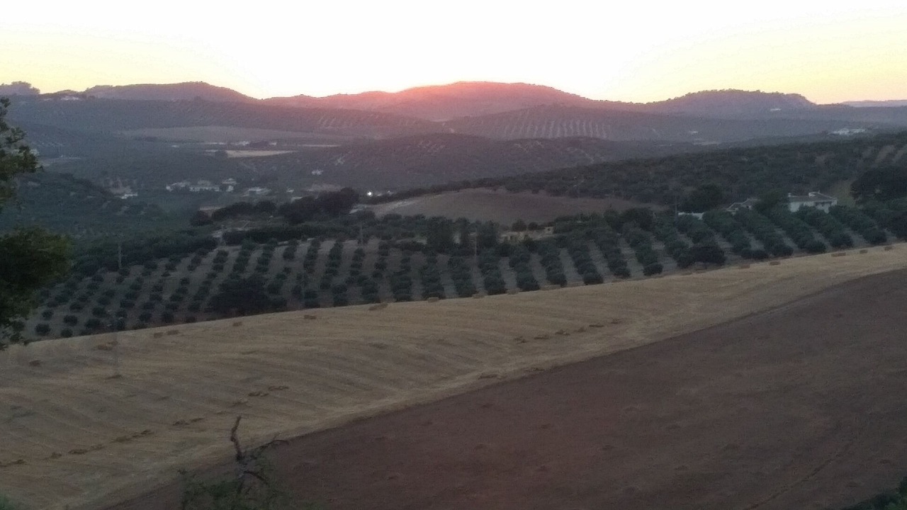 Photo of Others in Villanueva del Trabuco