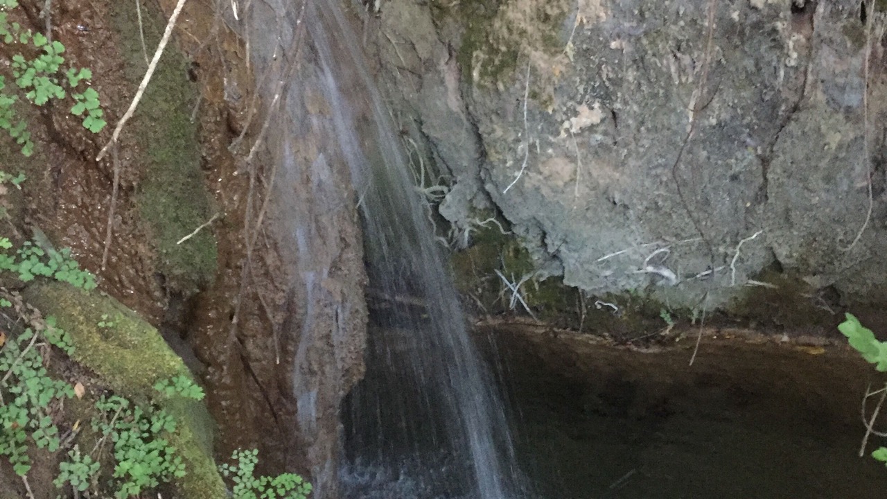 Photo of Outdoor in El Bosque