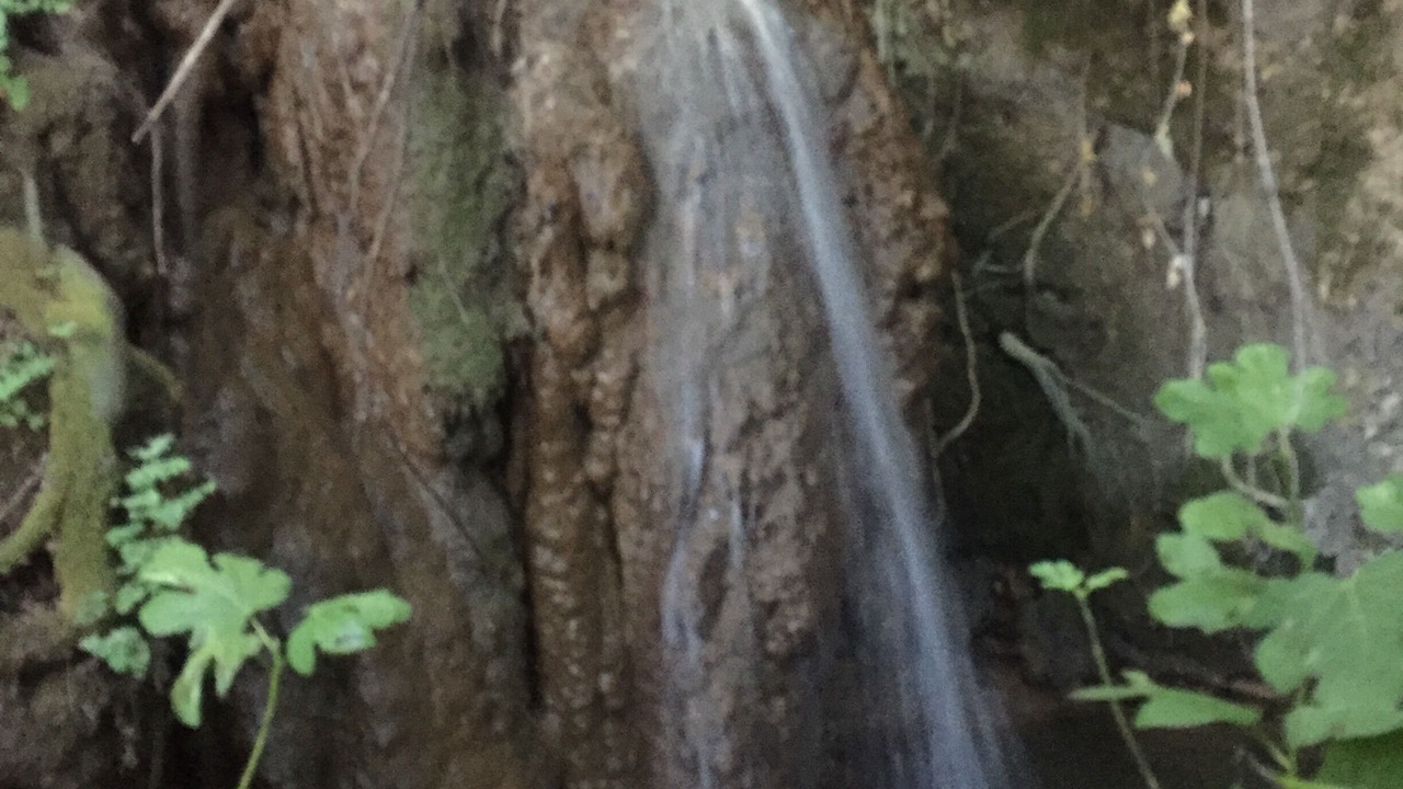 Photo of Outdoor in El Bosque