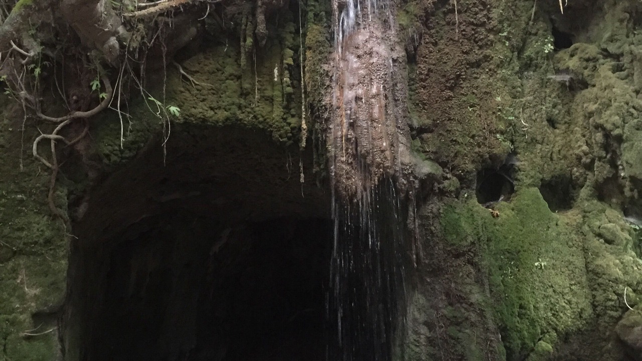 Photo of Outdoor in El Bosque