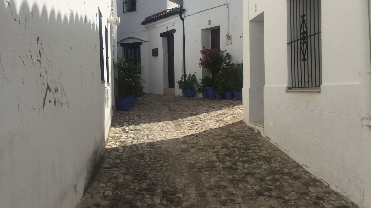 Photo of Outdoor in El Bosque