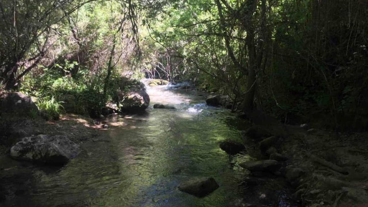Photo of Outdoor in El Bosque