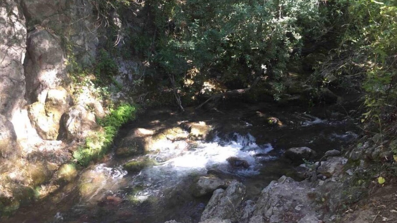 Photo of Outdoor in El Bosque