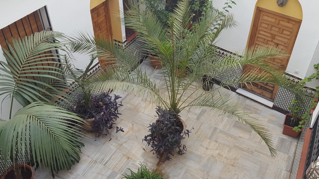 Photo of Outdoor in La Trinidad-San Juan y Todos los Santos