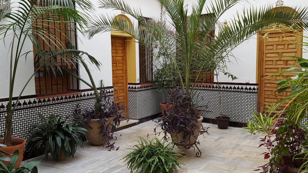 Photo of Outdoor in La Trinidad-San Juan y Todos los Santos