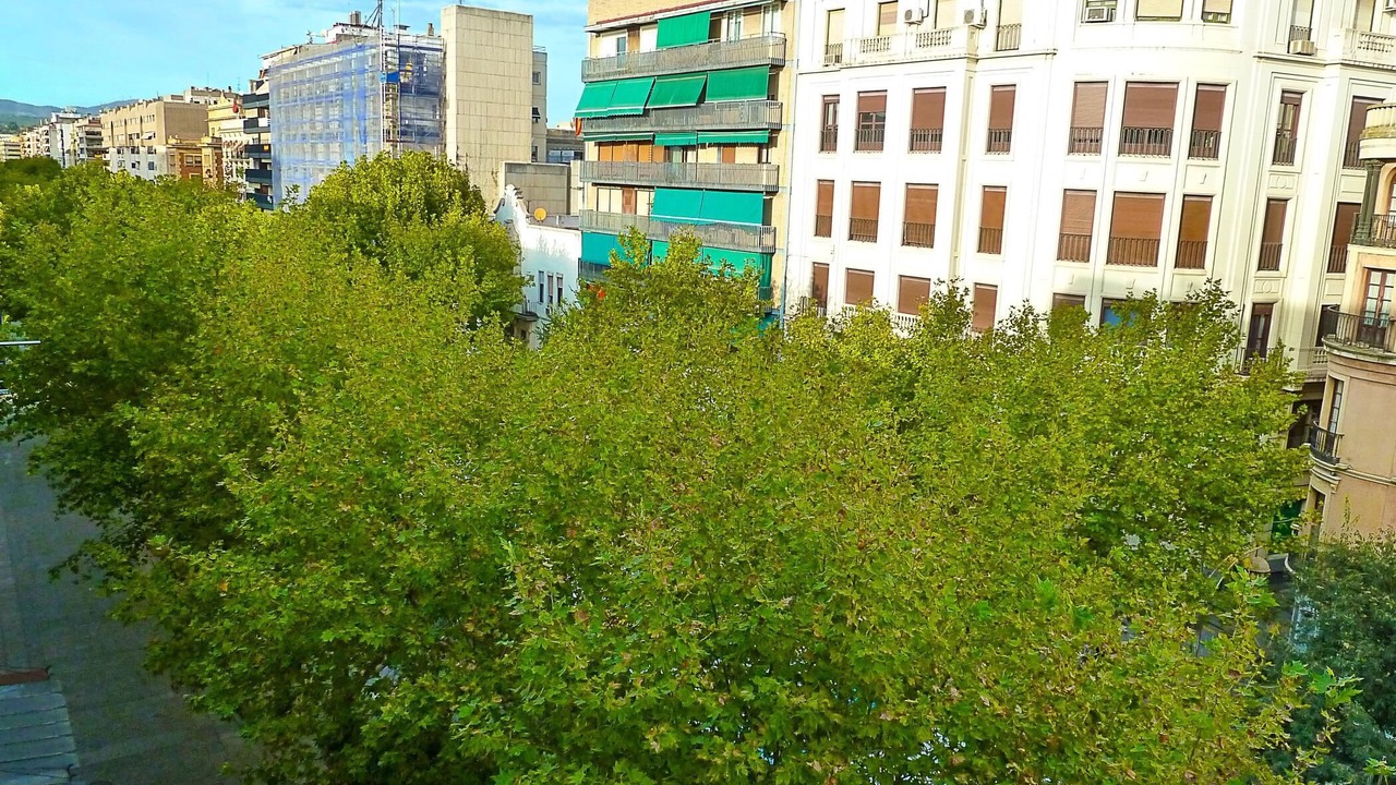 Photo of Outdoor in Centro Comercial