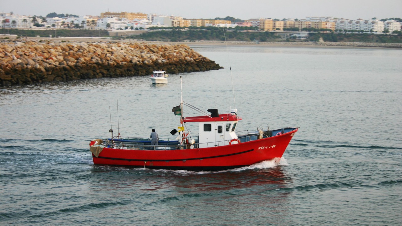Photo of Others in Rota