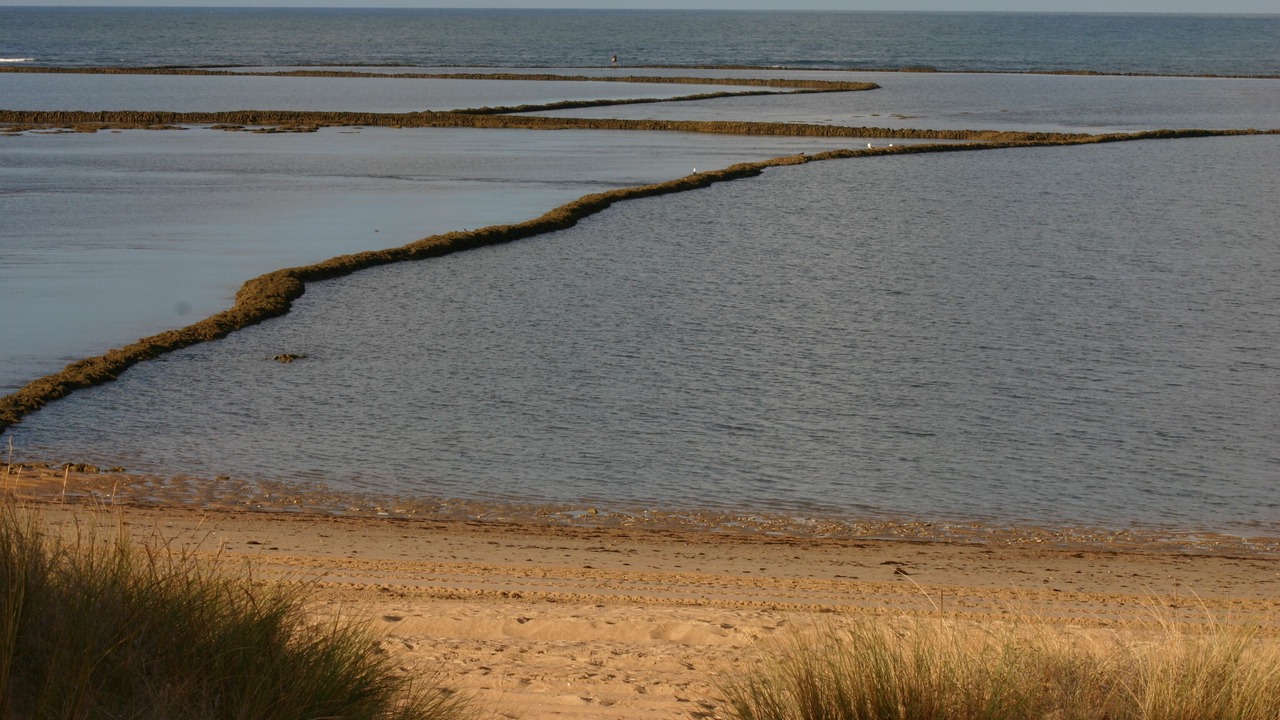 Photo of Others in Rota
