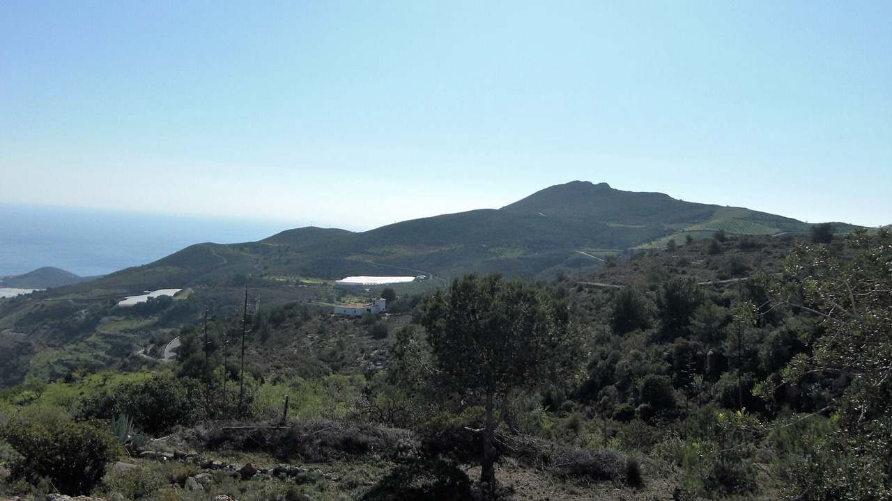 Photo of Others in Gualchos