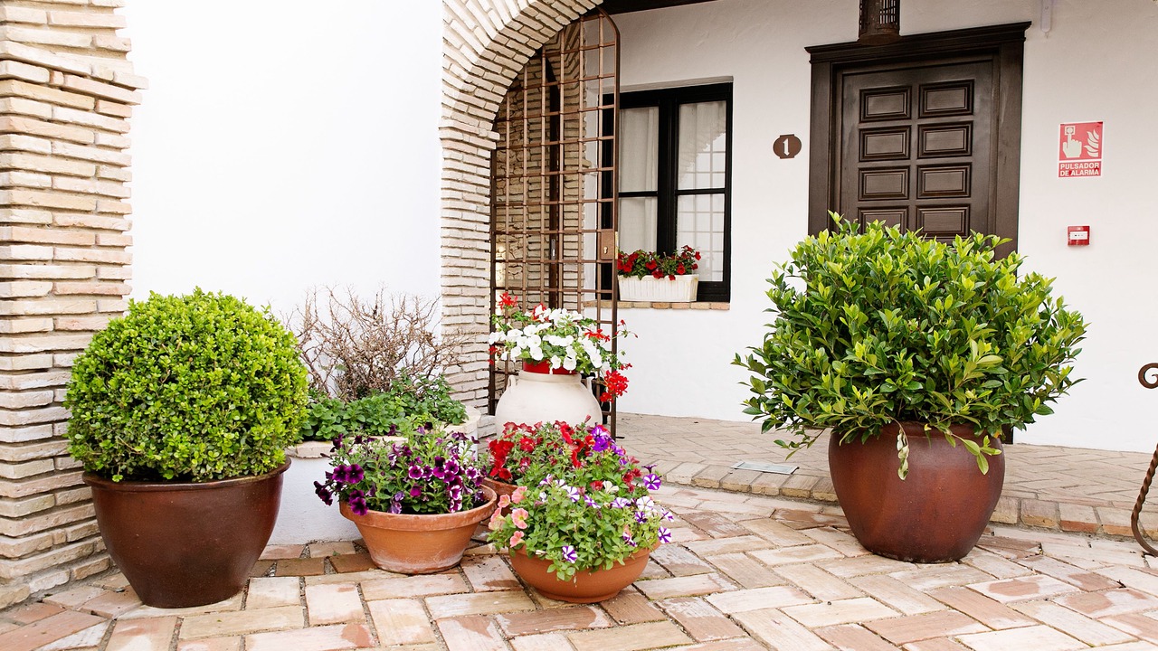 Photo of Livingroom in Santa Marina