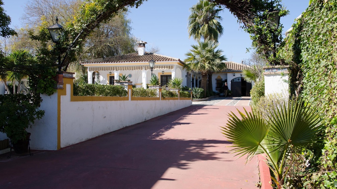 Photo of Outdoor in Montemayor