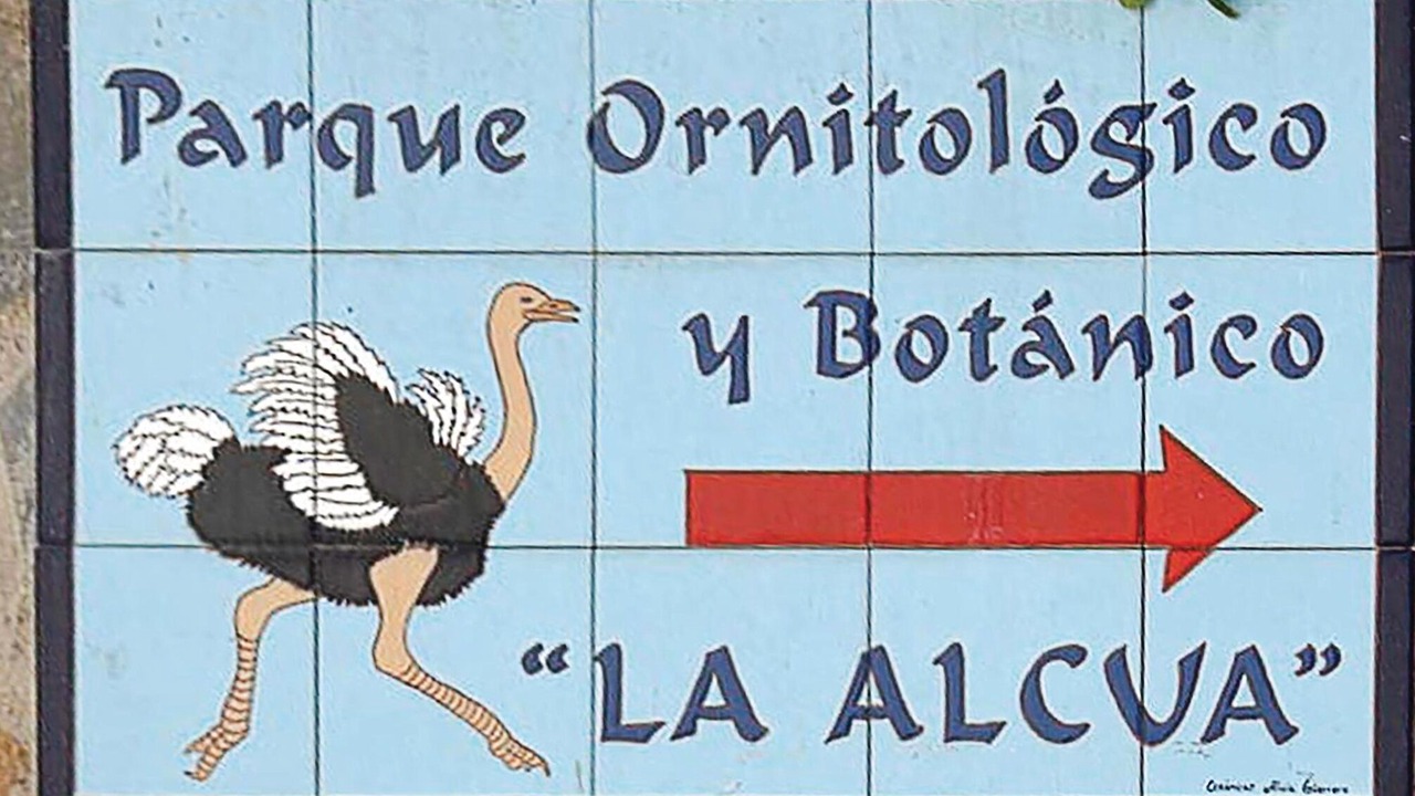 Photo of Others in El Borge