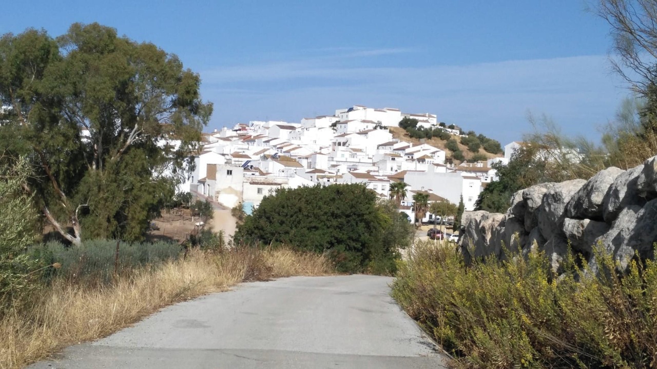 Photo of Others in Algar