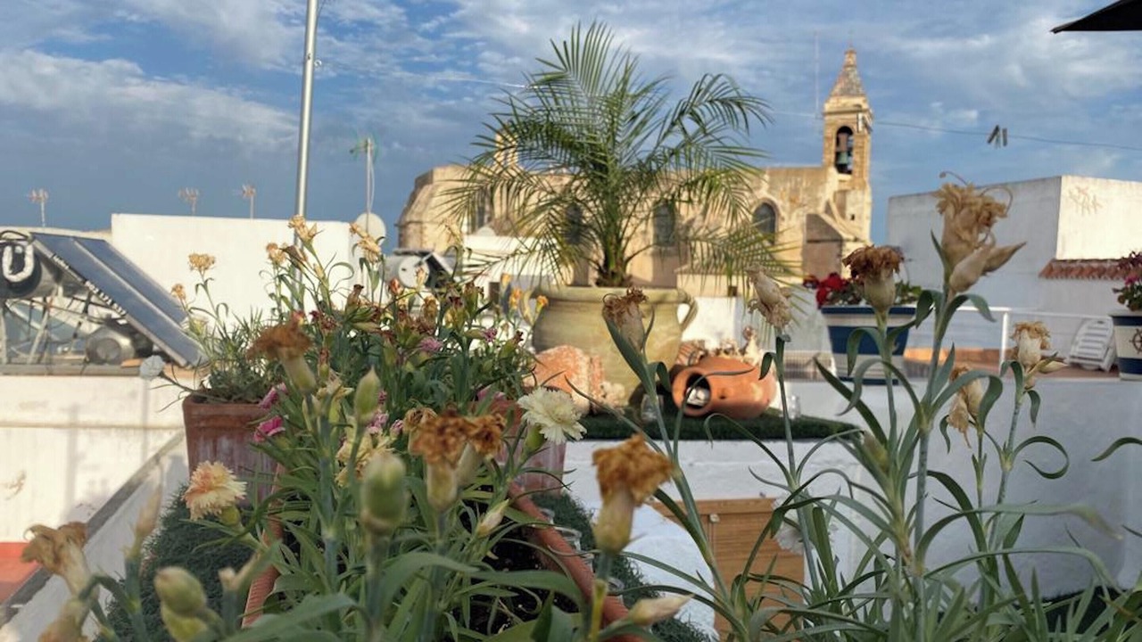 Photo of Others in Rota