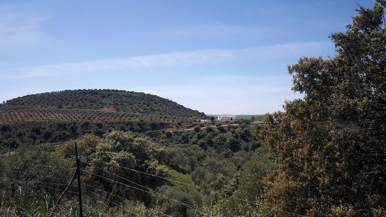 Photo of Others in Puerto Serrano