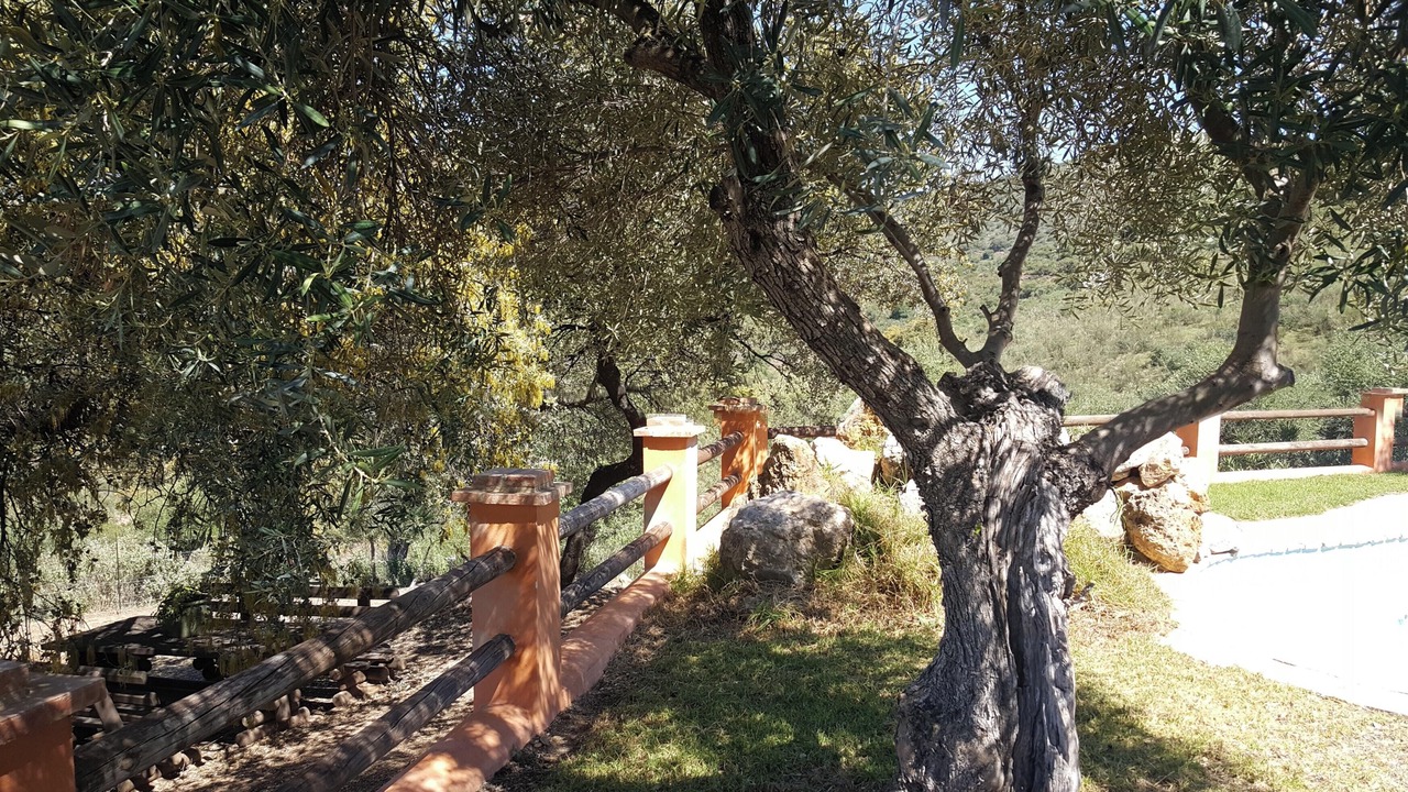 Photo of Outdoor in Puerto Serrano