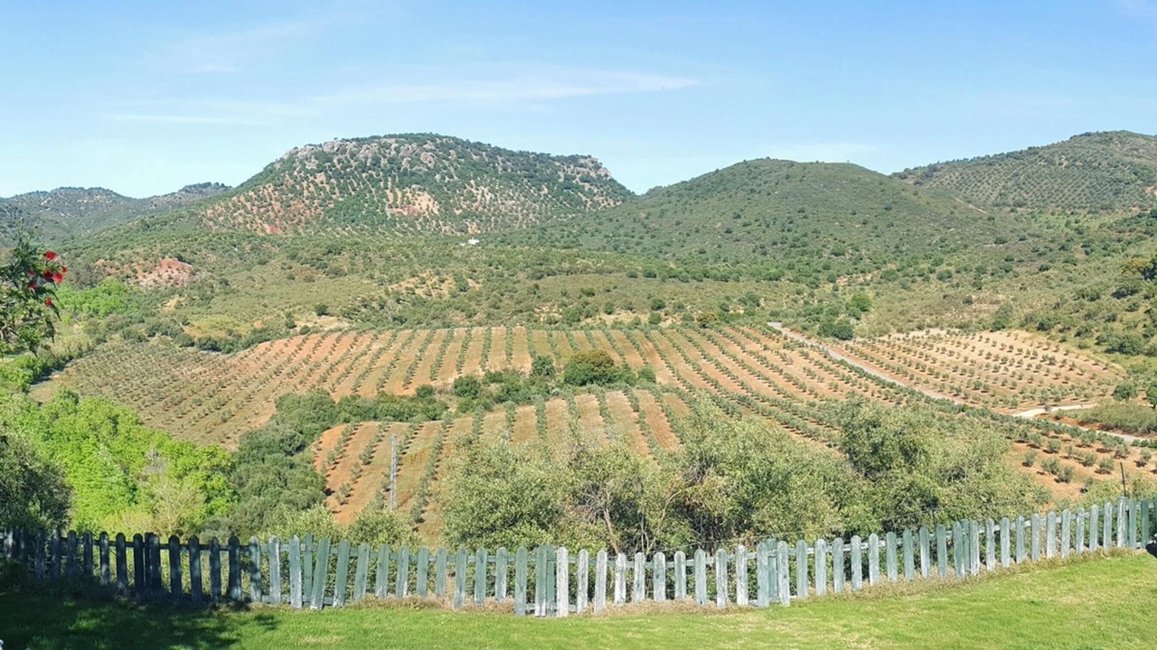 Photo of Others in Puerto Serrano