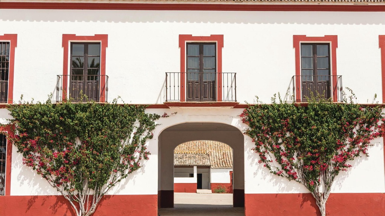 Photo of Others in La Campana