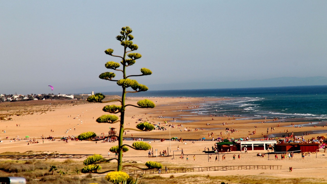Photo of Others in Conil de la Frontera City Center