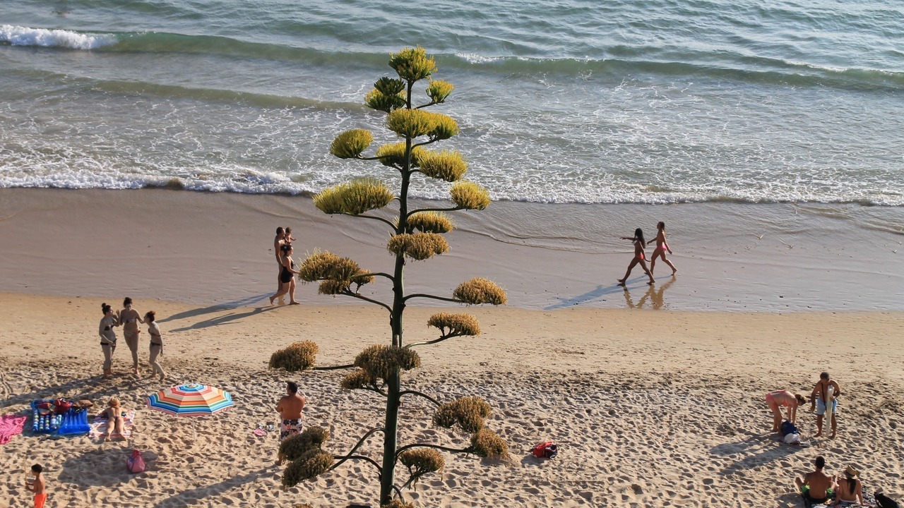 Photo of Others in Conil de la Frontera City Center