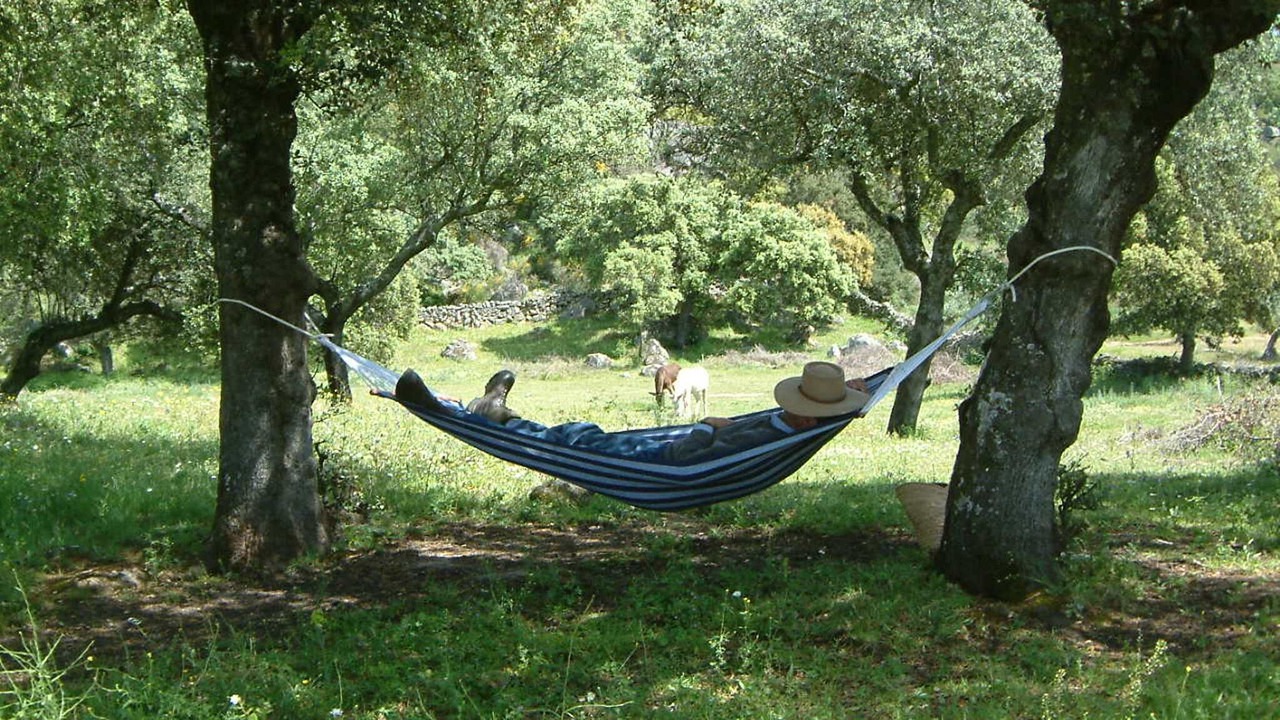 Photo of Outdoor in Montanchez