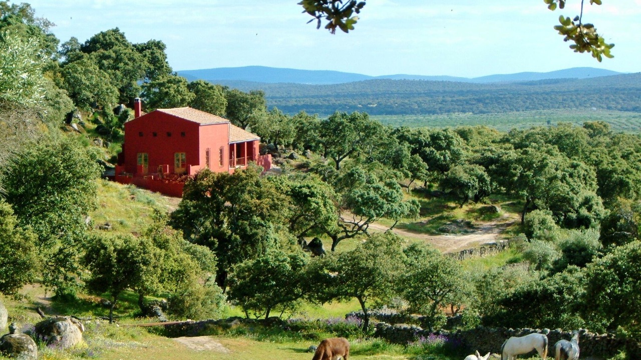 Photo of Others in Montanchez