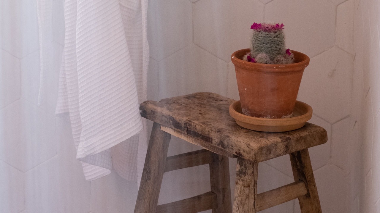 Photo of Bathroom in Ronda
