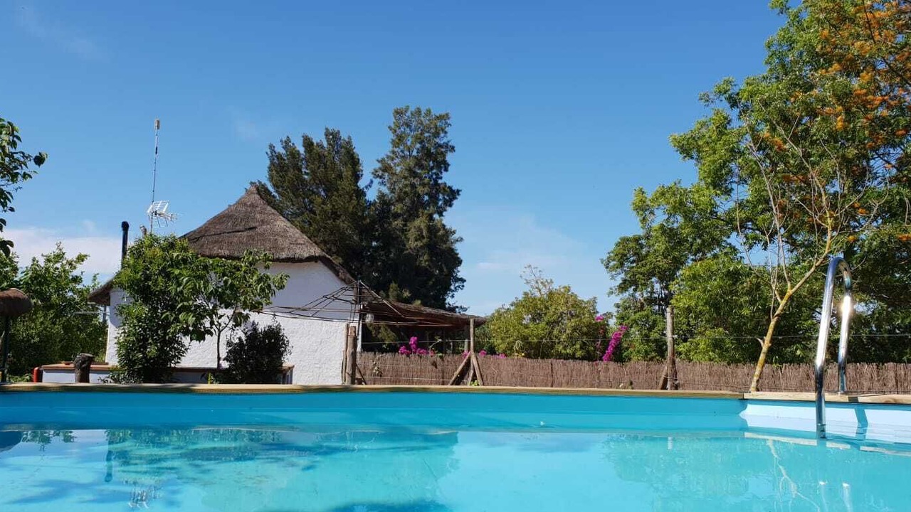 Photo of Outdoor in Jerez de la Frontera