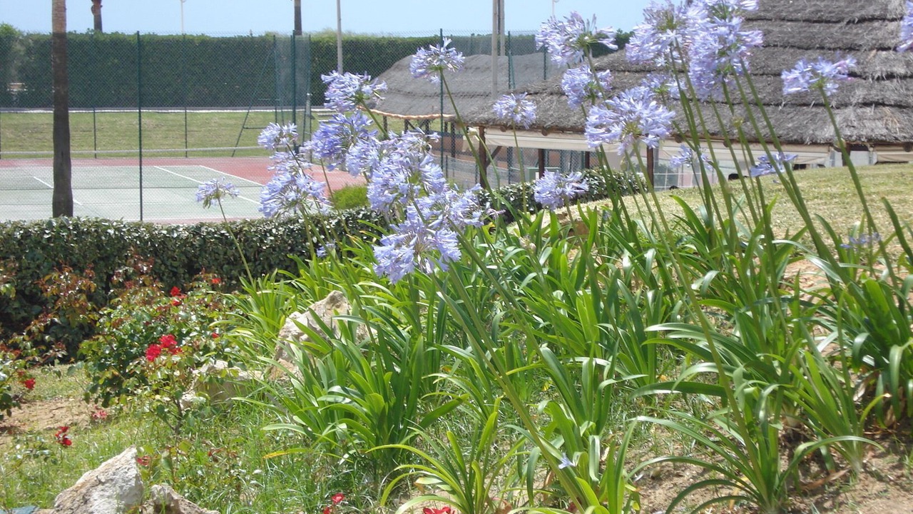 Photo of Outdoor in Isla Cristina