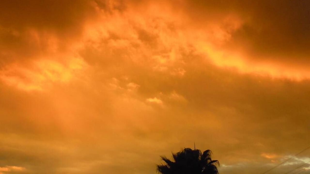 Photo of Outdoor in Sanlucar la Mayor