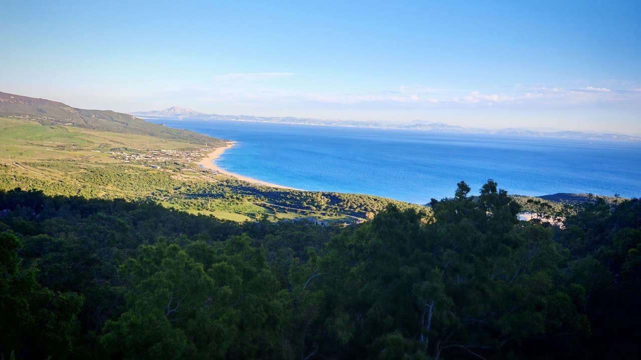 Photo of Others in El Lentiscal