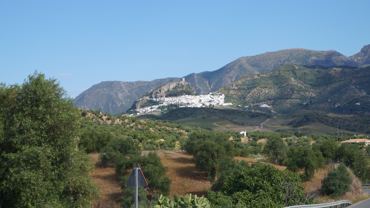 Photo of Others in Algodonales