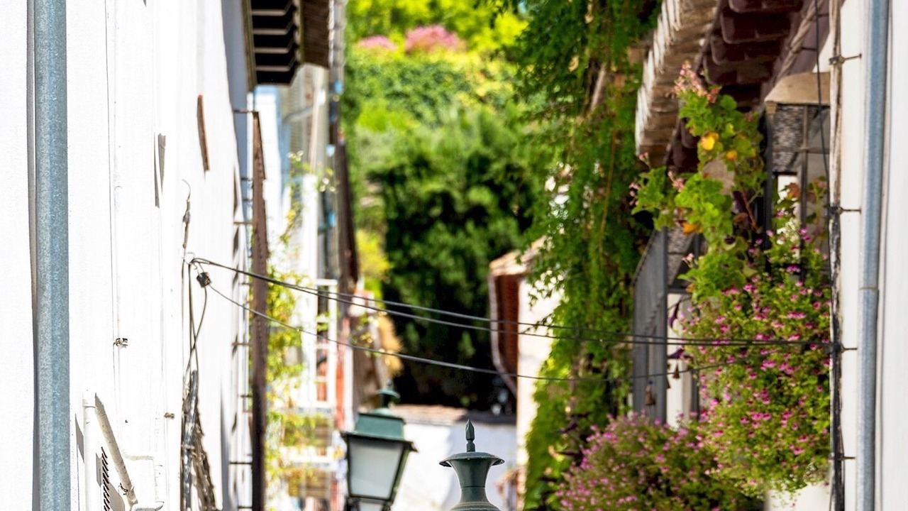Photo of Outdoor in San Pedro