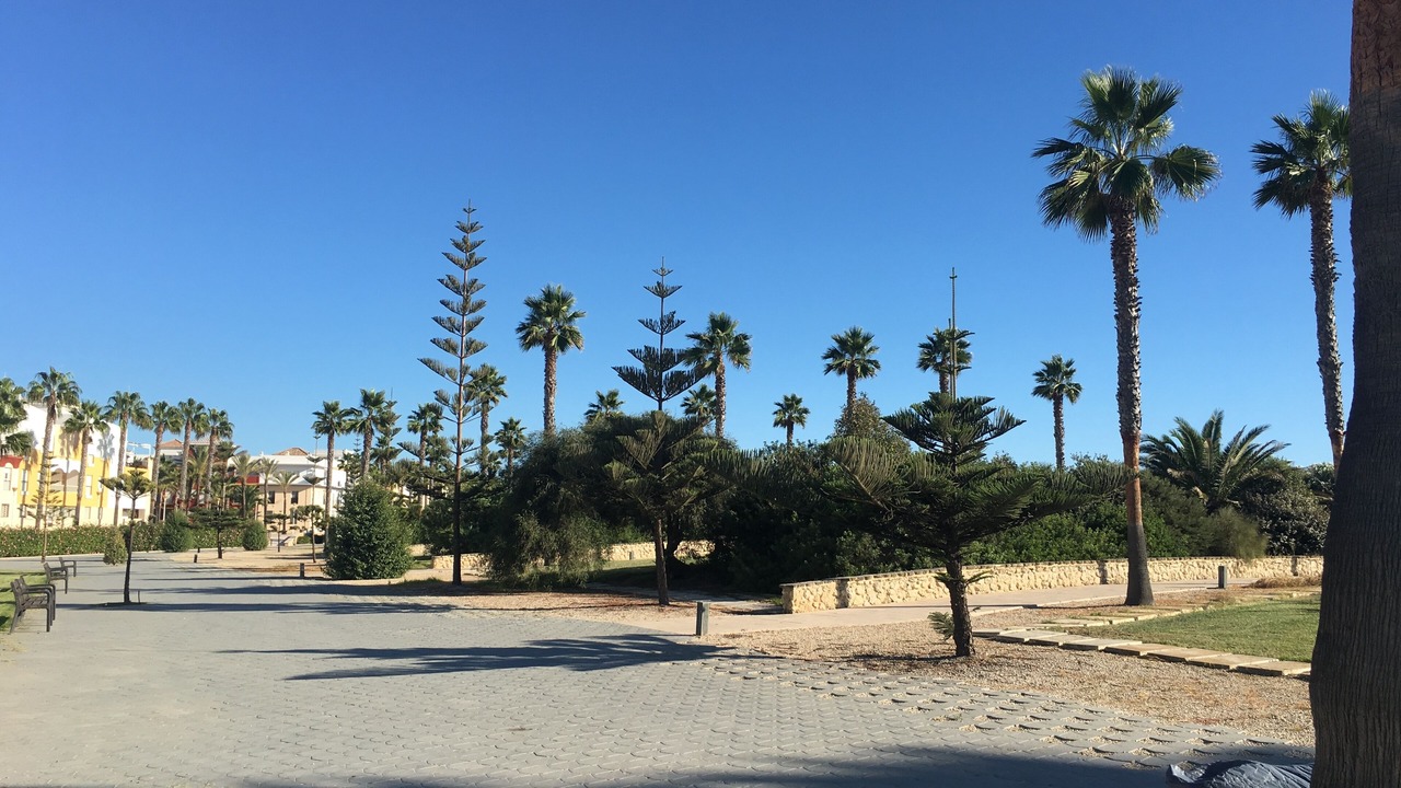 Photo of Others in Rota