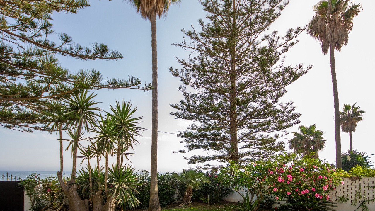 Photo of Outdoor in Rincon de la Victoria