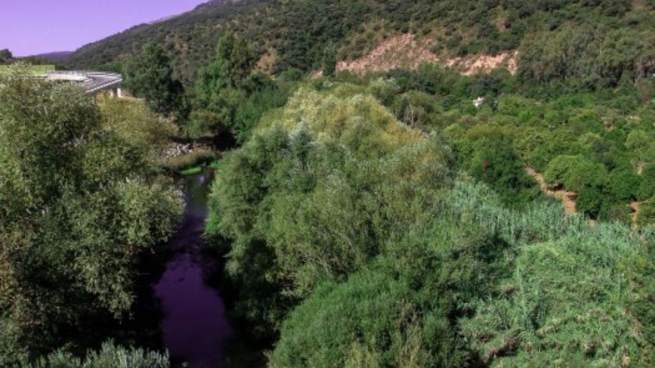 Photo of Outdoor in Jimera de Libar