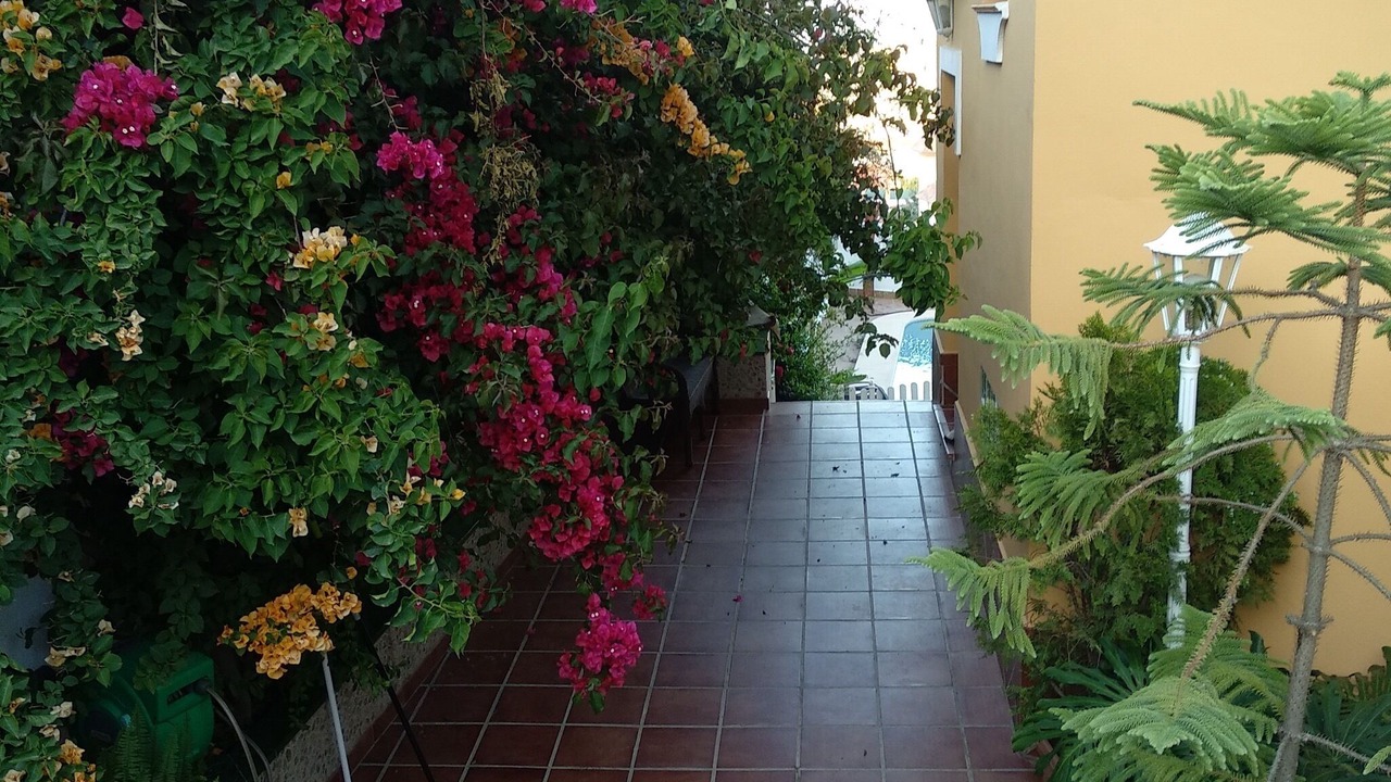 Photo of Outdoor in Torre del Mar