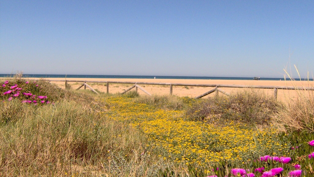 Photo of Others in El Palmar