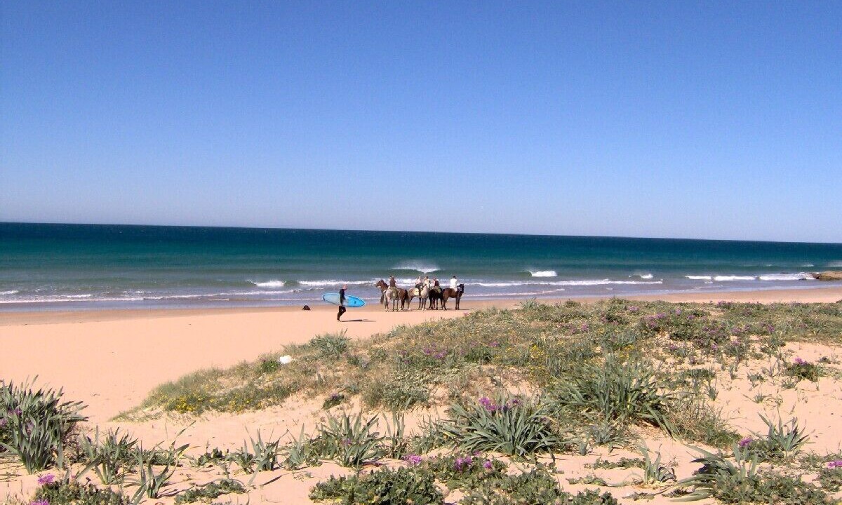 Photo of Others in El Palmar