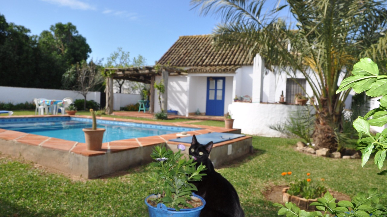 Photo of Others in El Palmar