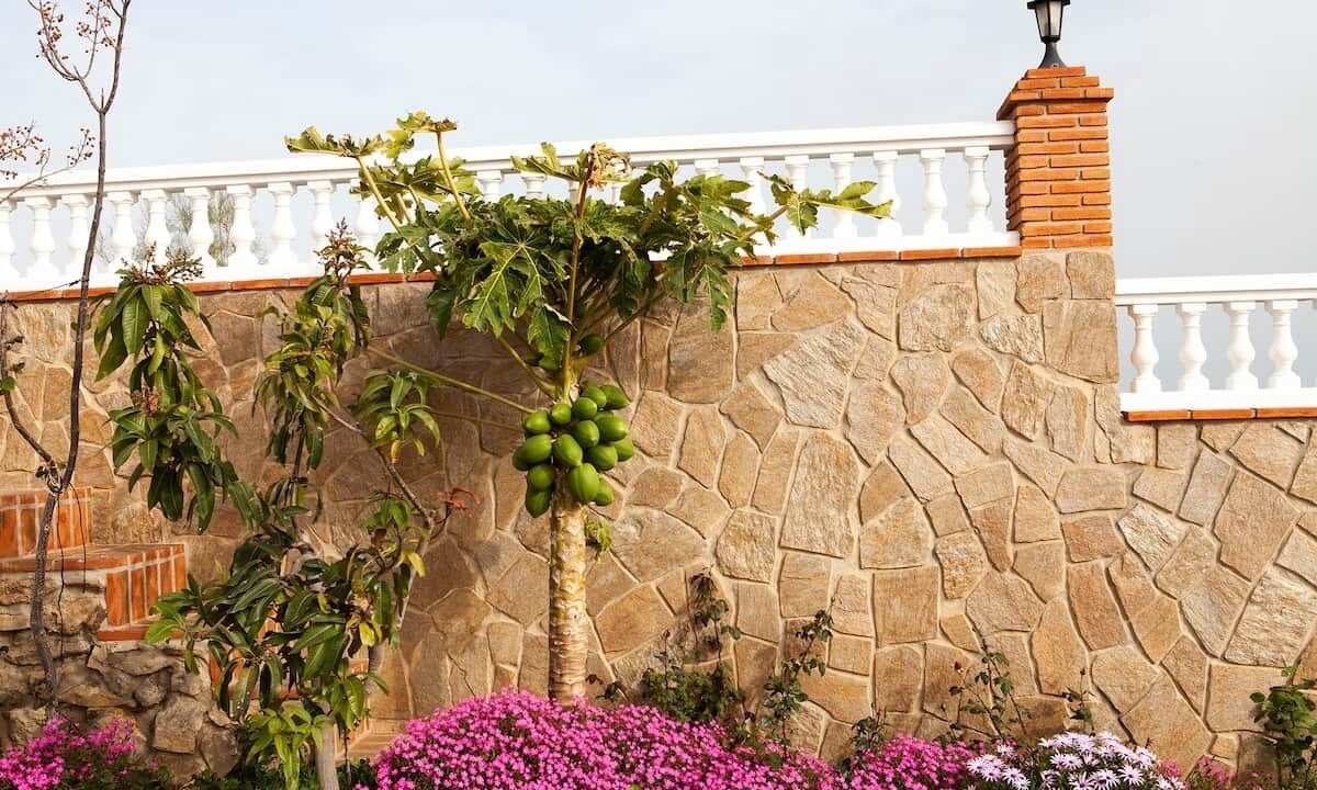 Photo of Outdoor in Velez-Malaga
