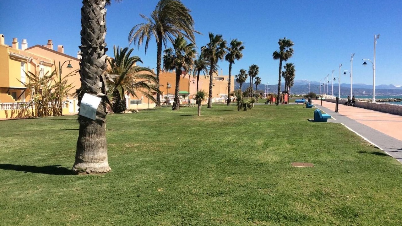 Photo of Outdoor in Guadalmar
